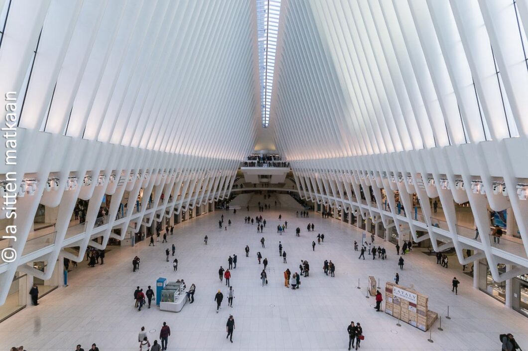 Oculus