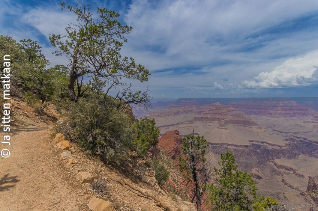 Grand Canyonin kansallispuisto