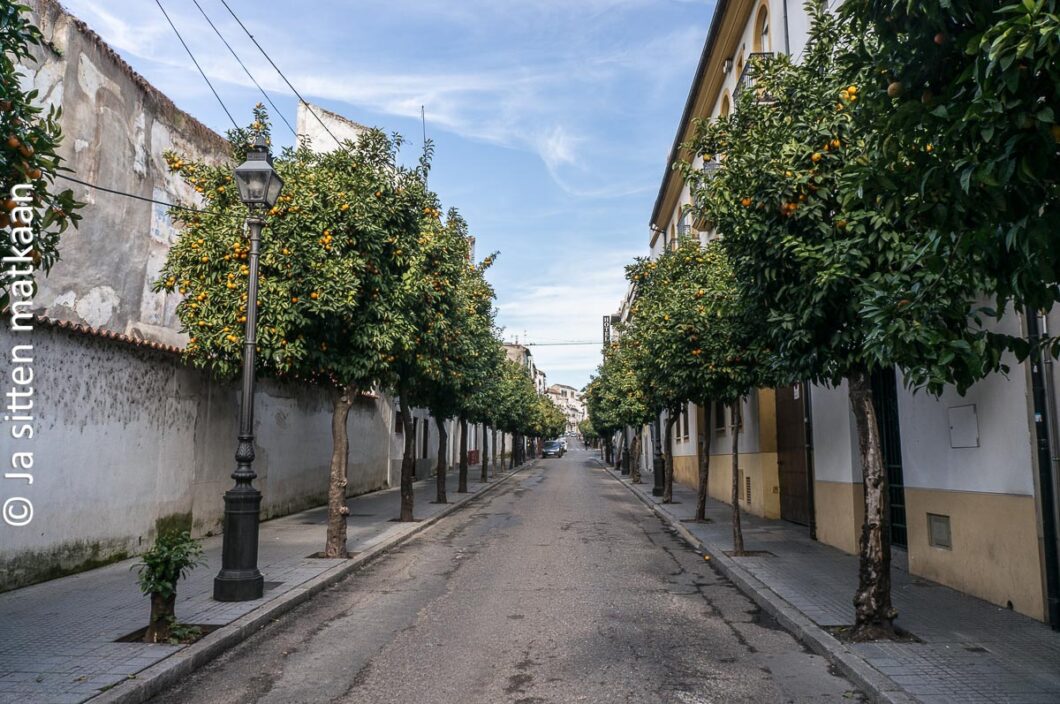 Katunäkymä Cordobasta