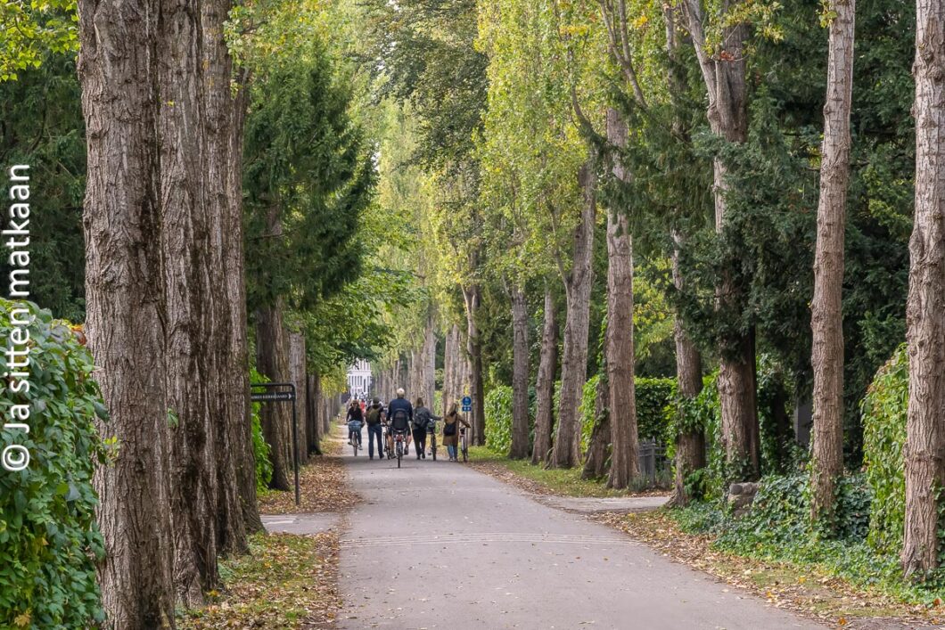 Assistensin hautausmaa